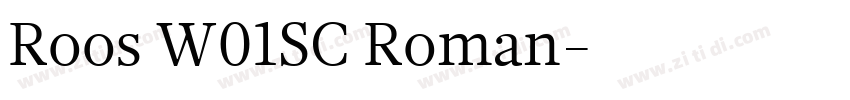 Roos W01SC Roman字体转换